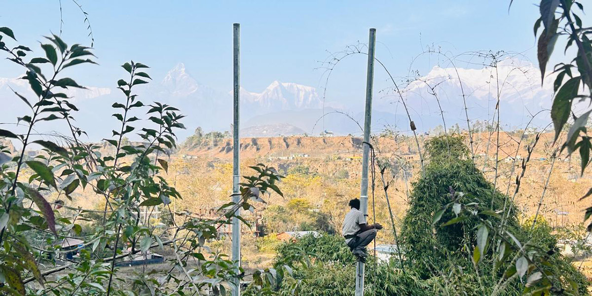 Jan-2026-TPP-Update-Banner